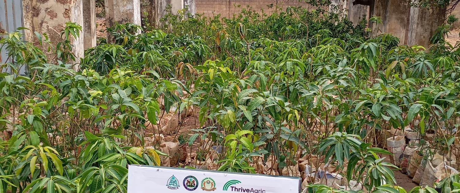 Community Nursery for Consistent Supply of Healthy Seedlings EcoClimate Foundation