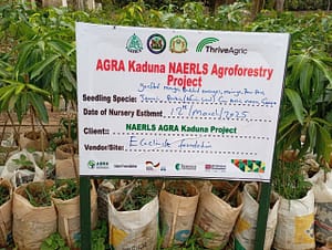 Community Nursery for Consistent Supply of Healthy Seedlings EcoClimate Foundation