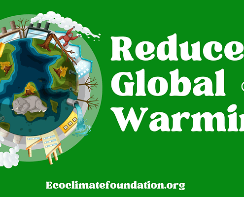 ECOCLIMATE FOUNDATION