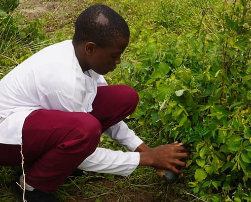 WhatsApp Image 2026-01-19 at 03.41.41 (1)